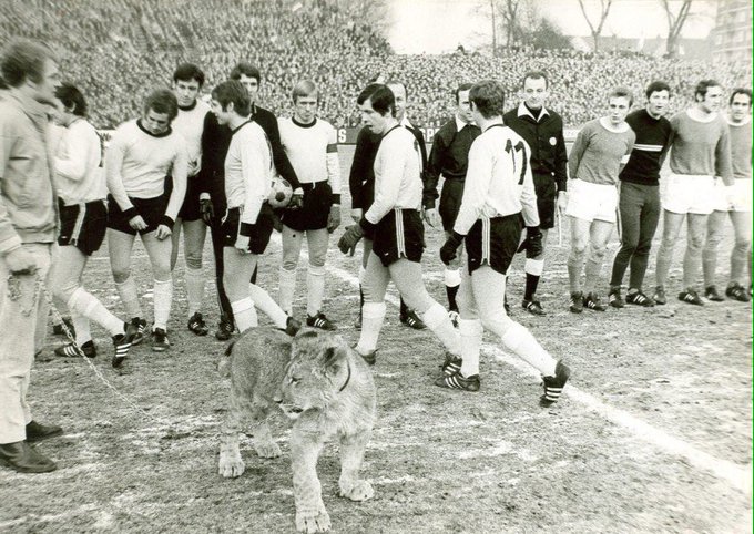 Il morso di un cane, notti insonni e una iniezione di tetano: c’è anche questo nella Storia del derby della Ruhr